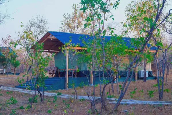 Slide 8