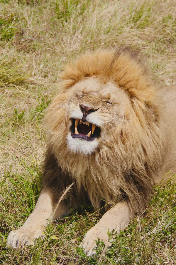 Stories from the Bush