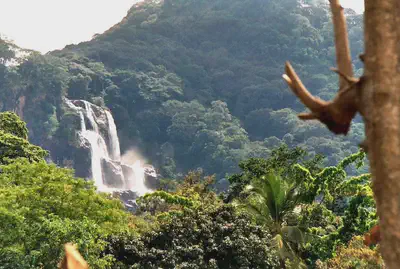 Udzungwa Mountains hiking experience