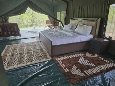 Wild Luxury